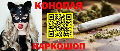 дмт Будённовск