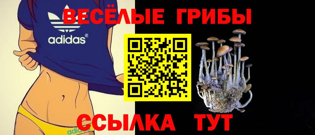 Галлюциногенные грибы Magic Shrooms  Галлюциногенные грибы мицелий  Вход с VPN  Татарск 